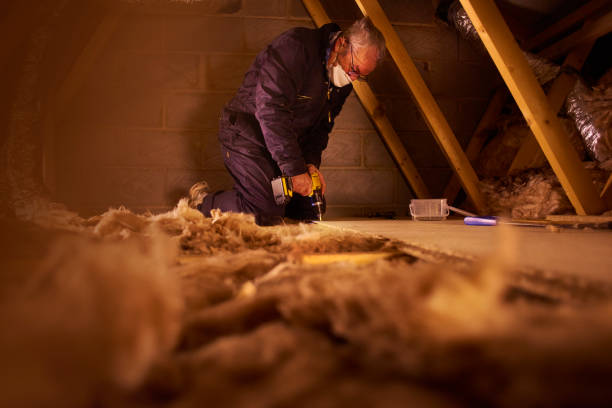 Best Blown-In Insulation  in Flomaton, AL